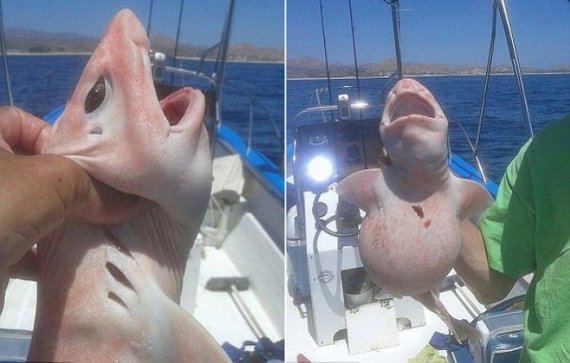 ▲사진=제이미 랜든 페이스북