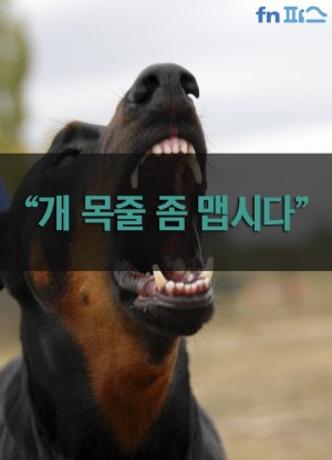 "개 목줄 하라"는 말에 폭력.. 법원 벌금 100만원 선고