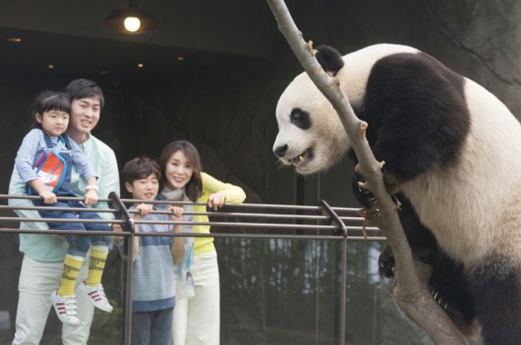 에버랜드 판다월드