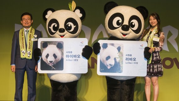 에버랜드 판다 커플, 삼성 사내망에 사원 등록.. 그룹 내 '귀요미'