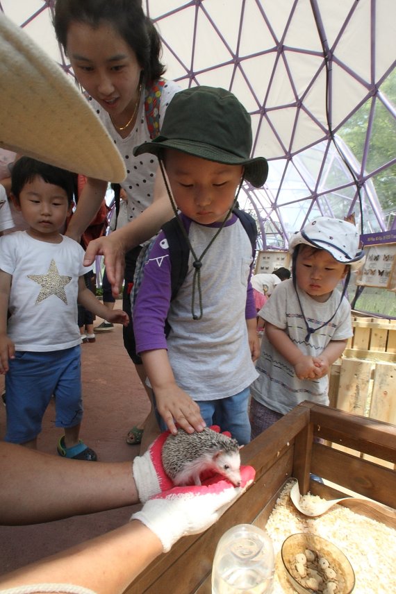 18일 개장한 부산 범방동 한국마사회 렛츠런파크 부산경남 어린이 식물원 '토마의 정원'에서 고슴도치를 어린이가 만져보고 있다.