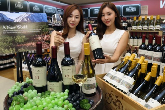 이마트, 남미 대표와인 '코노 수르' 론칭