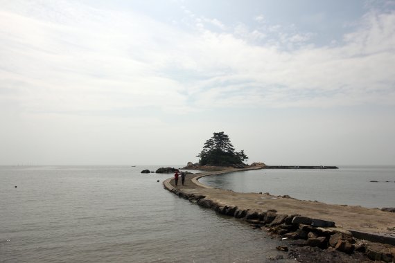 바다를 가로질러 놓인 길이 열리면 소등섬까지 걸어갈 수 있다