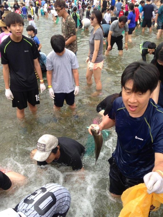 무더위 잊게하는 영월 '맨손으로 송어 잡기' 축제