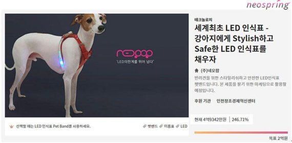 반려동물 LED인식표 개발한 '네오팝' 인천 모의 크라우드펀딩 대회 1위