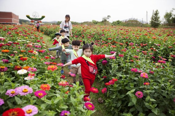지난 2일 수도권매립지에서 열리고 있는 ‘드림파크 가을나들이’ 행사장을 찾은 어린이들이 수백만 그루의 국화꽃이 핀 꽃길을 거닐며 즐거워하고 있다. 매립지내 약 86만m²의 녹색바이오단지에서 진행되는 이번 행사는 오는 9일까지 계속된다.