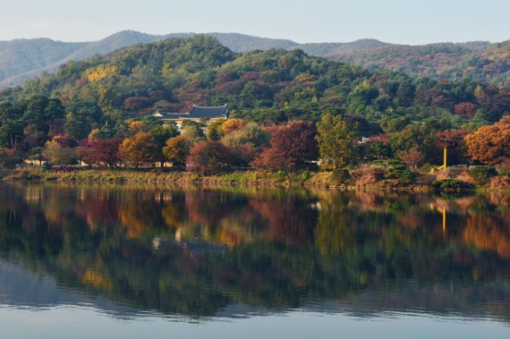 에버랜드 호암호수 단풍