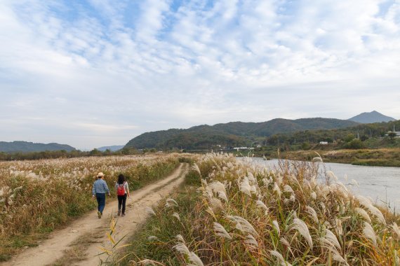 충북 충주 비내섬