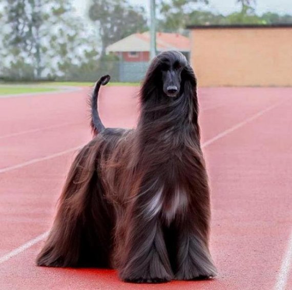 사진=루크 카바너 페이스북