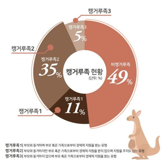 <자료출처=오호영(2015). “캥거루족의 실태와 과제“(KRIVET Issue Brief) 한국직업능력개발원> <그래픽=최민아 디자이너>