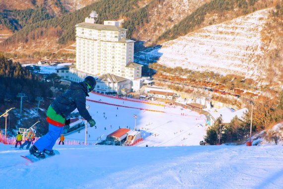 [반갑다, 스키시즌] 엘리시안 강촌, 국가대표 출신이 스키 강습.. 아이 픽업부터 식사까지 OK