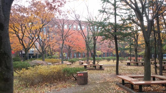 호산대 유아교육과, 국내 첫 '교내 생태 숲 유치원' 조성키로