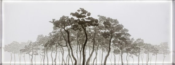 부산은행 BNK아트갤러리, ‘다시, 빛을 말하다’ 展