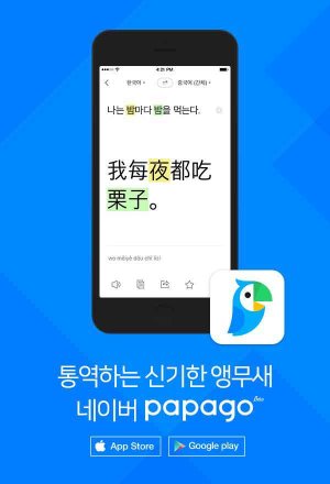 네이버 파파고 중국어 적용