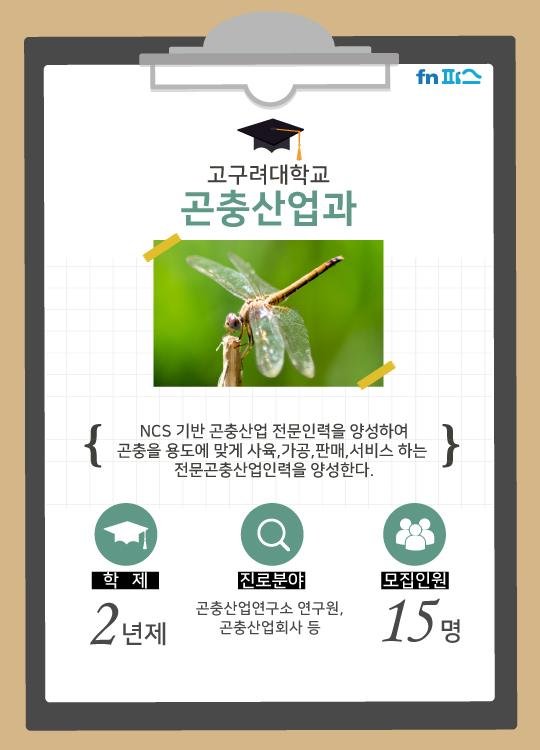 "한번 들어봐?" 국내 대학 이색학과들