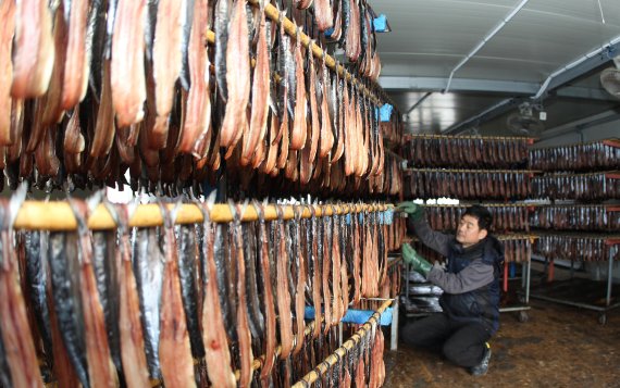 과메기 제철 맞아 가공식품으로도 등장