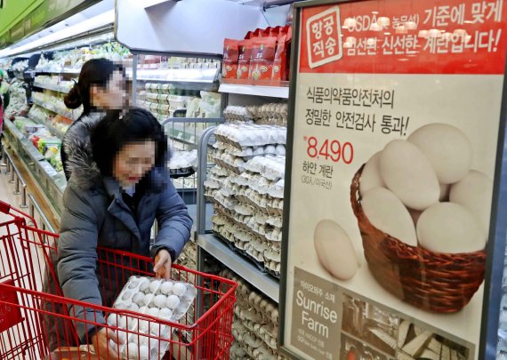 롯데마트가 대형마트로는 처음으로 23일 전 점에서 미국산 수입계란 판매에 들어간 가운데 롯데마트 서울역점에서 한 여성고객이 하얀색 수입계란을 쇼핑카트에 담고 있다.