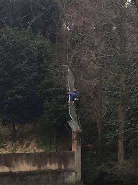 2만원 아끼려다 호랑이에 찢겨 죽은 男