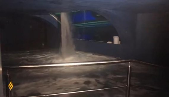 사진=유튜브 MexicoDifunde 영상