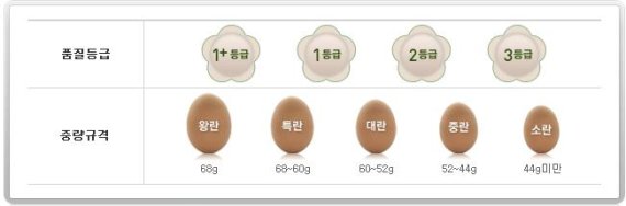 달걀 품질등급 및 중량규격 /출처=축산물품질평가원
