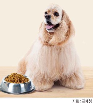 [반려동물과의 행복한 동행] 1500억 사료시장 70% 이상 외국産 점령.. "국산은 믿음이 안가요"