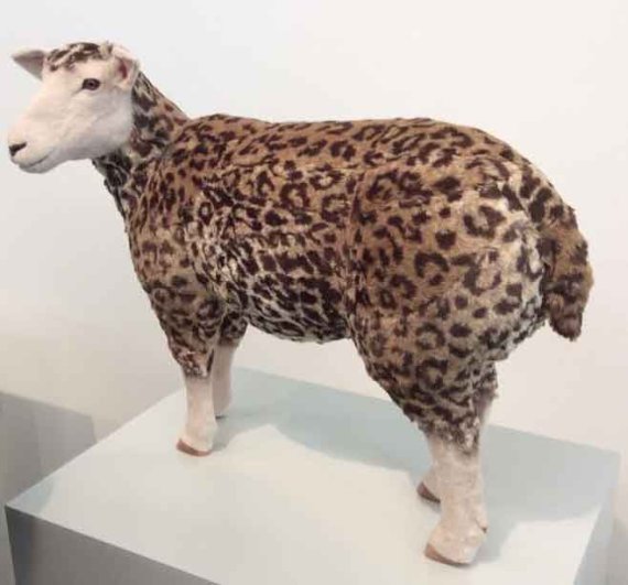 Leopard Sheep. 2017. Styrofoam,fur. 60x24x45cm