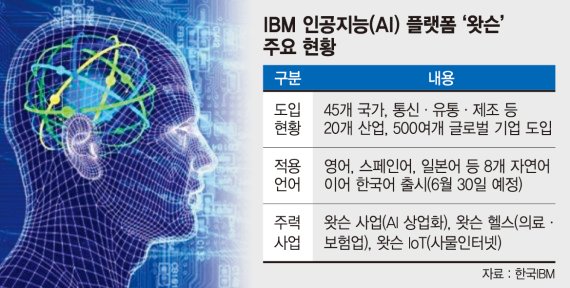 IBM 인공지능 '왓슨' 한국어 공부 끝내고 6월 출격