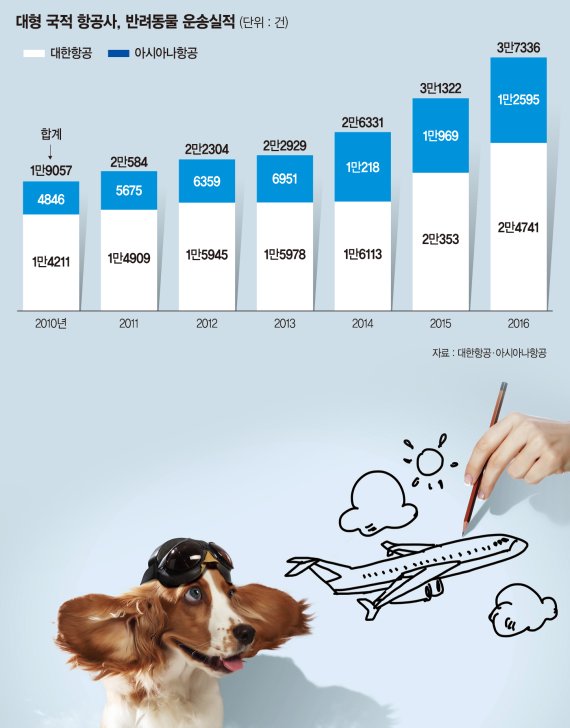 여객기 타는 반려동물 年 4만건 육박.. 6년새 2배 늘며 '운송실적 고공비행'