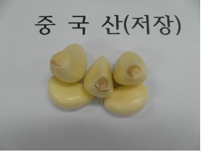 "국내산으로 알고 샀더니.." 중국산 마늘 수백톤 원산지 속여 판매한 업자 구속