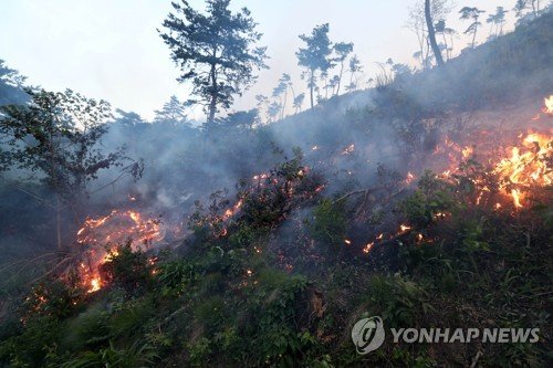 농협, 산불피해 농가에 무이자 재해자금 대출 지원