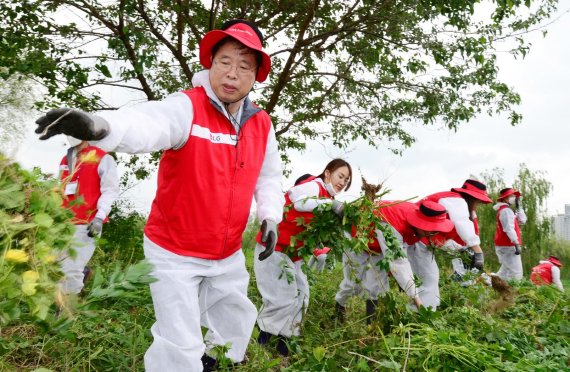 LG화학 박진수 부회장(왼쪽 첫번째)과 임직원들이 23일 여의도 밤섬에서 생물다양성 보전을 위한 환경정화 활동을 실시하고 있다. /사진=fnDB