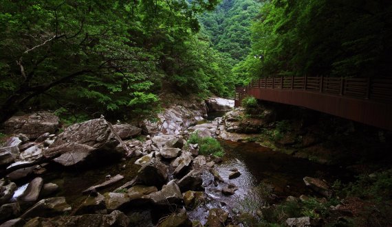 방화동~덕산계곡 생태탐방로