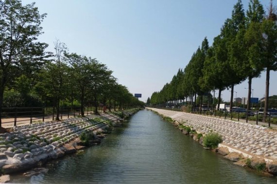 강서구는 3월부터 7억 원의 예산을 들여 김포공항 인근의 공사장에서 버려지는 지하수를 끌어와 마른 하천인 개화천을 사계절 물이 흐르는 하천으로 변모시켰다