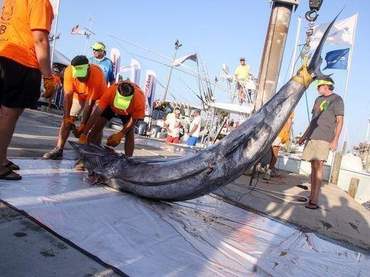 [사진=미USA투데이]