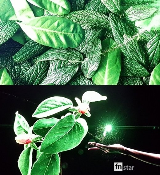 롯데시네마 측 “‘SUPER S’, 첫 상영은 내일(14일)”