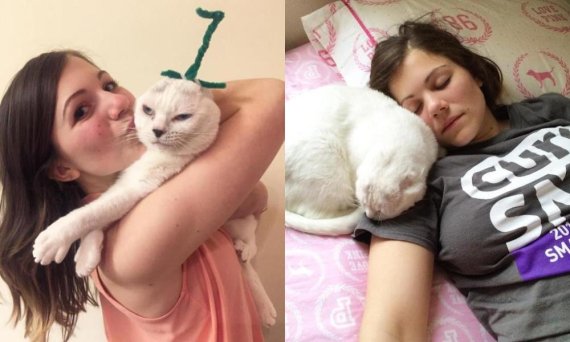 양쪽 귀 잃은 고양이 입양.. 함께 상처 극복한 사연