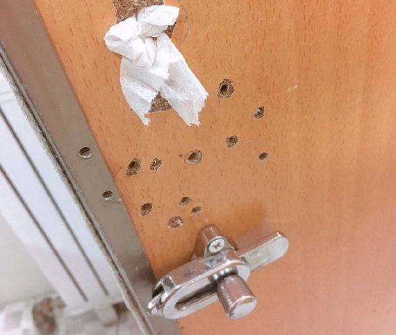 지난 16일 SNS에 서울 신촌의 한 대형카페 건물 화장실이라고 올라온 사진에는 화장실 칸막이 문 부분에 구멍을 확인할 수 있다.