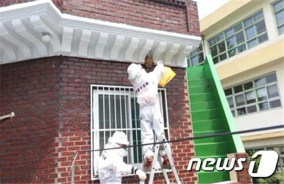 전국 벌 쏘임 사고 주의보 발령..향수, 화장품 자제