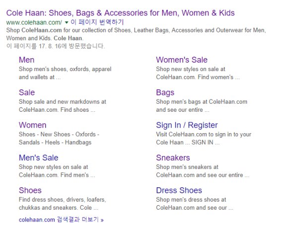 대표주소가 아닌 세부카테고리 접속도 무용지물이었다. /사진=콜한 구글 검색 페이지 캡처