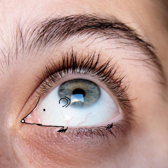 판다가 된 코 ... 신체를 가지고 기발한 그림을 그린 화가