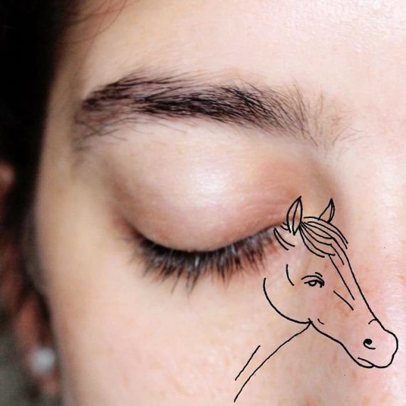 판다가 된 코 ... 신체를 가지고 기발한 그림을 그린 화가