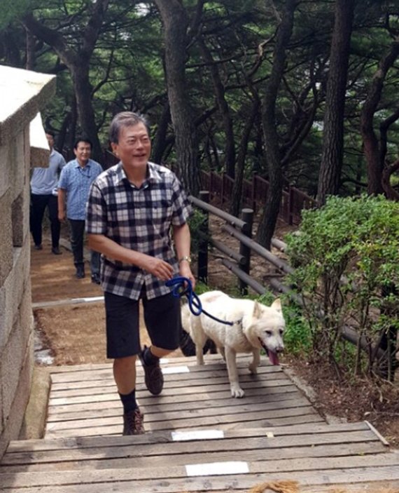 문재인 대통령이 지난 9일 오전 반려견인 '마루', '토리'와 함께 서울 북악산을 등반했다. 한 시민이 온라인 커뮤니티에 올린 사진.