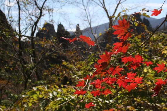 설악산 단풍