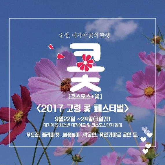 '2017 고령 콫 페스티벌'…"셀프웨딩 촬영의 추억을 선물합니다"