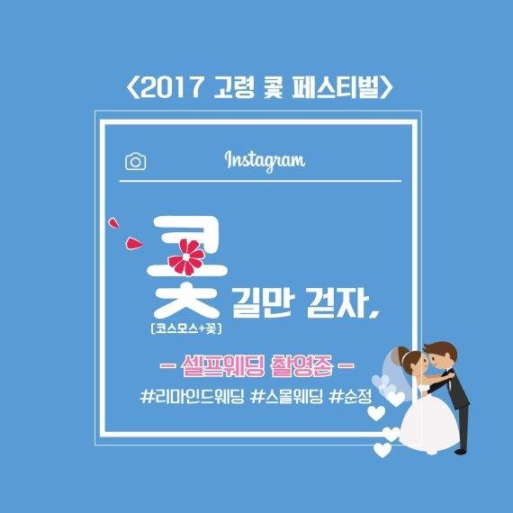 '2017 고령 콫 페스티벌'…"셀프웨딩 촬영의 추억을 선물합니다"