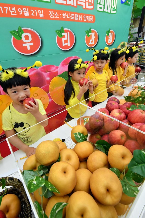 알찬 우리과일 많이 드세요