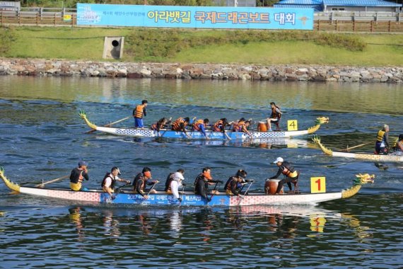 14일 경인아라뱃길 일대에서 열린 '제5회 아라문화축제'에서 드래곤보트 대회에 참가한 선수들이 힘차게 노를 젓고 있다.