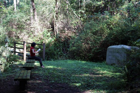 한 여행객이 월봉서원에서 고봉묘소로 올라가는 철학자의 길에서 책을 읽고 있다.