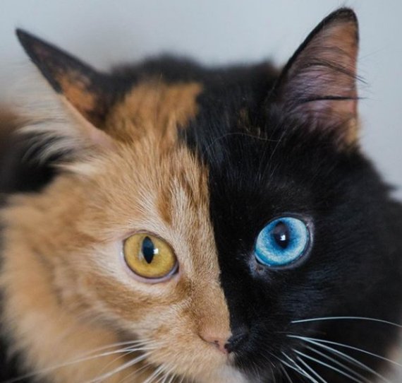 [사진=퀴메라 인스타그램]