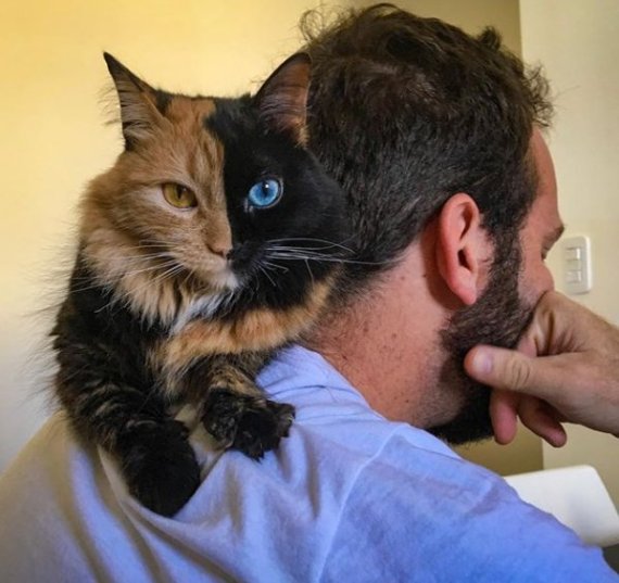 [사진=퀴메라 인스타그램]